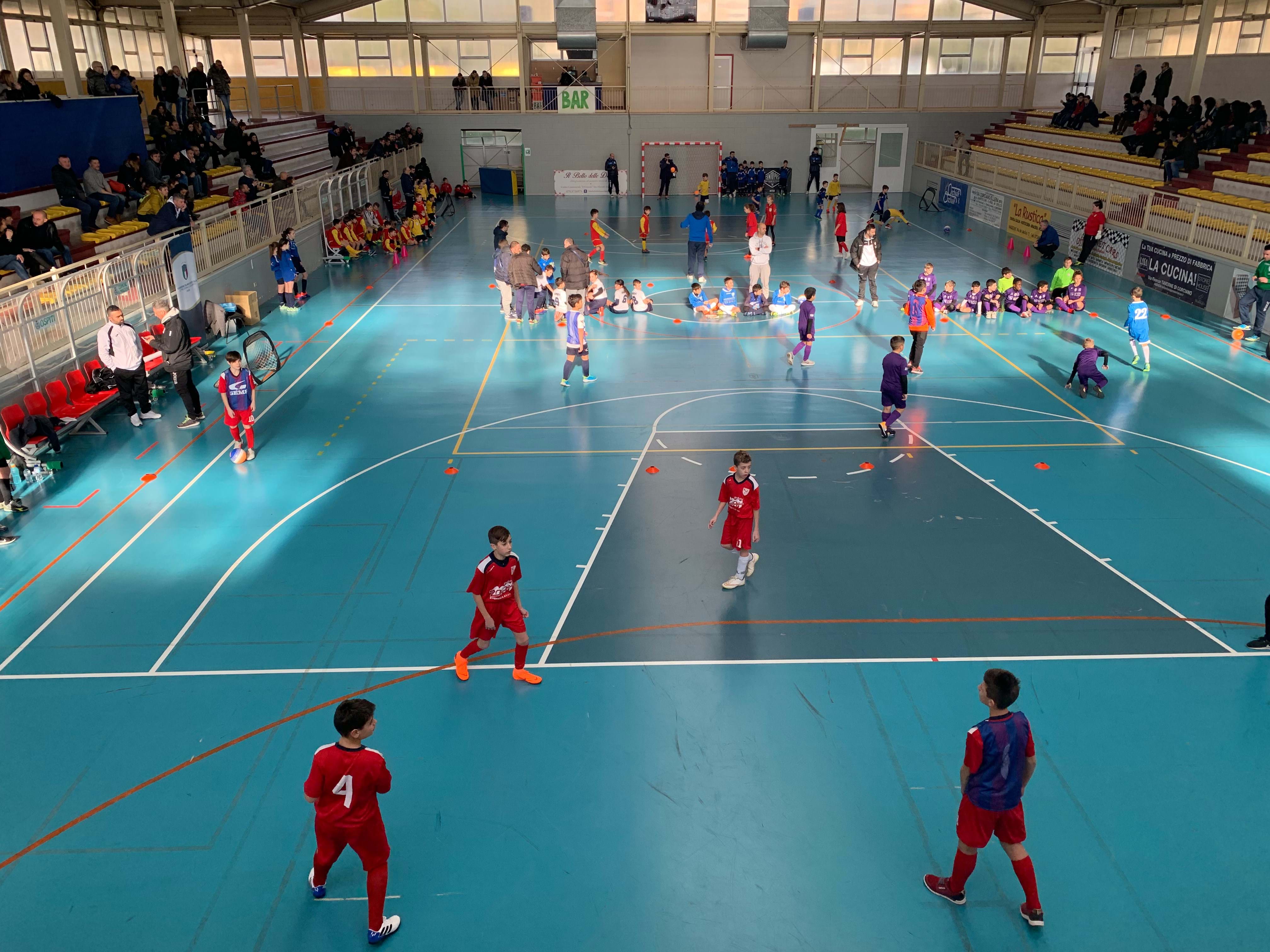 Attività Giovanile Futsal & Beach Soccer