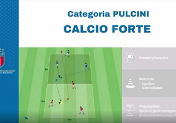 Pulcini - Calcio Forte
