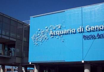 GENOVA: acquario, bigo e biosfera
