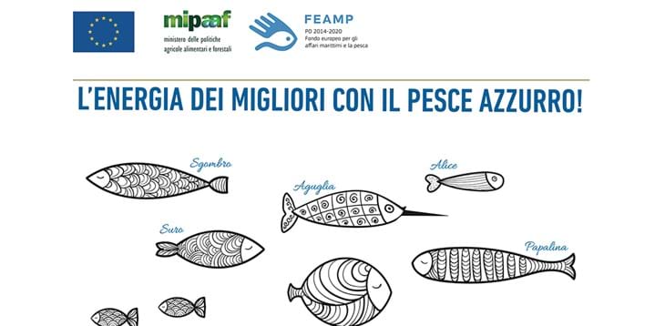 FIGC e MIPAAF insieme per la promozione del pesce azzurro