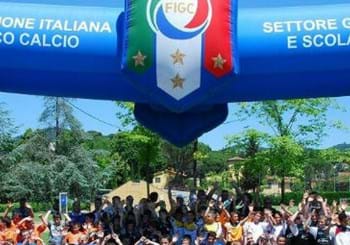 Ilaria Gioia segretario amministrativo del Settore Giovanile e Tecnico